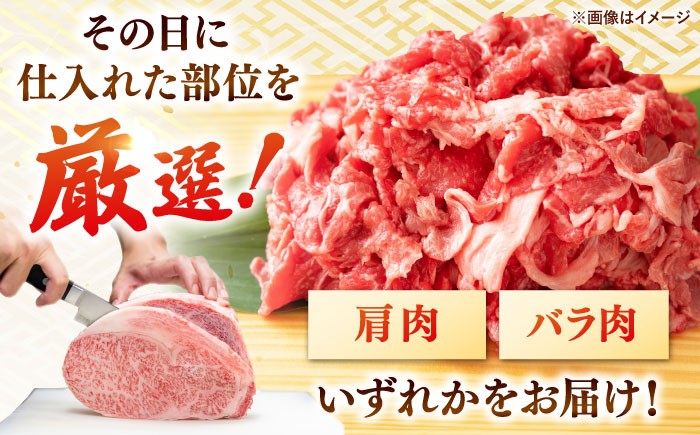 12回定期便 和牛 切り落とし 1kg (500g×2P) 国産
