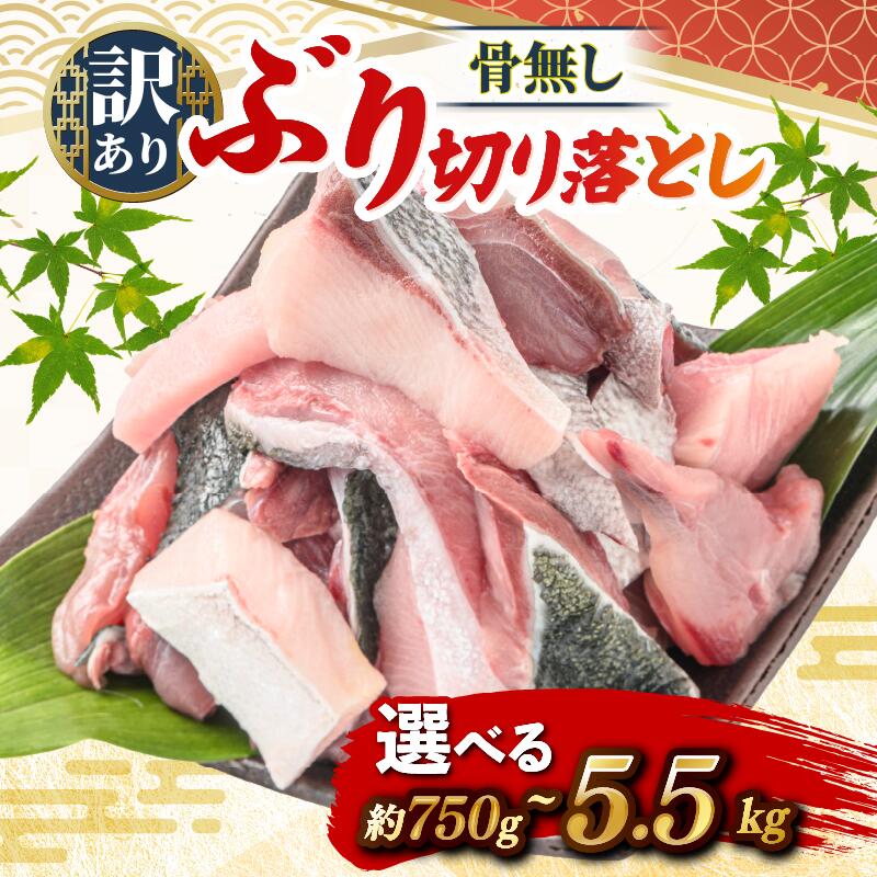 【ふるさと納税】訳あり ブリ 切り落とし 選べる 750g ~ 5.5kg 鰤 ぶり 切り落とし わけあり 訳あり品 国産 養殖 鮮魚 魚 ぶり大根 煮付け 和食 小分け 真空 パック お取り寄せ ご飯 に 合う 便利 惣菜 おかず 弁当 黒潮 高知県 宿毛市　10000円