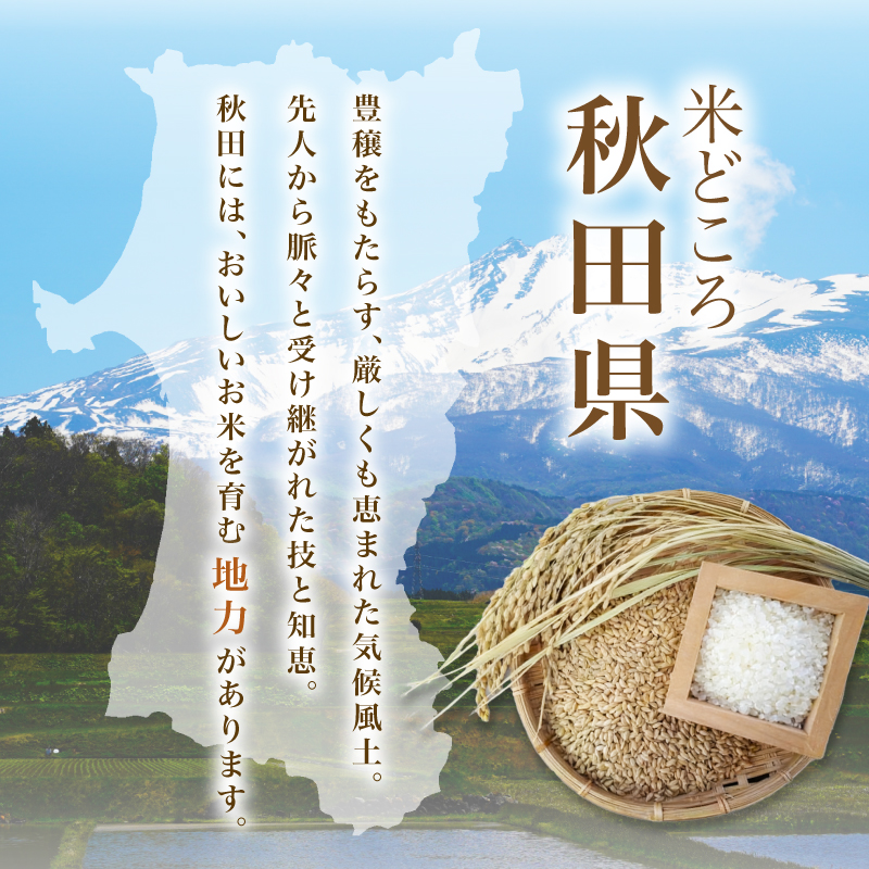 ひとめぼれ 令和7年度産 精米10kg(5kg×2)【精米 白米 米 コメ お米 おこめ ブランド米 ご飯 ごはん 秋田 にかほ】