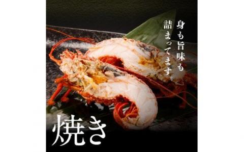 【訳あり】冷凍伊勢海老2kg（3～10尾）【期間限定 数量限定 魚介類 えび 伊勢えび イセエビ】[C01707]