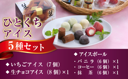 ひとくちアイス5種セット（33粒） 苺アイス 生チョコ バニラ コーヒー 抹茶　A014