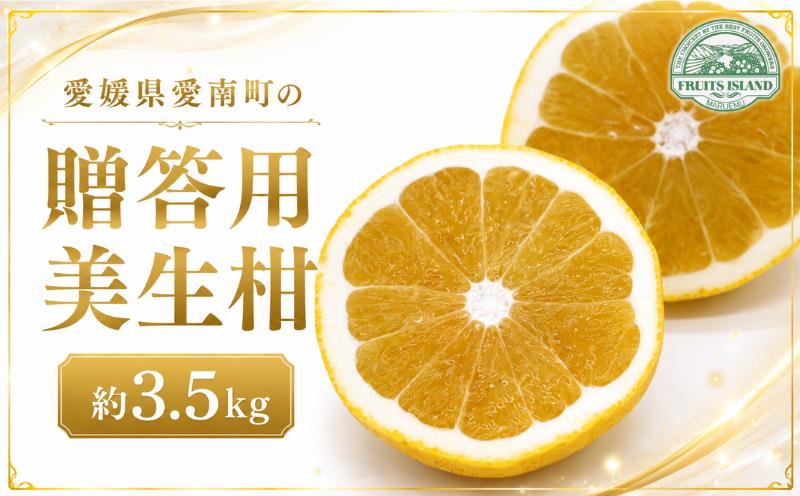
                  贈答用 美生柑 みしょうかん 約 3.5kg 河内晩柑 贈答 ギフト プレゼント 正規品 ばんかん フルーツ 果物 果実 くだもの 夏文旦 晩生柑 厳選 愛媛 みかん 蜜柑 mikan 愛南 ご当地 ブランド 母の日 国産 産地 直送 ゼリー マーマレード デザート フルーツアイランド マルエム直販 愛媛県 愛南町
                