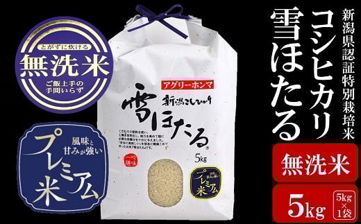
            【令和6年産米】甘味の強いプレミアム米 新潟県認証特別栽培米 コシヒカリ 無洗米 5kg アグリーホンマ[ZB404]
          
