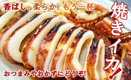 三陸水産 冷凍スルメイカ 約2kg （約1kg×2袋） イカ 刺身 いかの塩辛 いかめし いかげそ イカ焼き フライ いかソーメン 新鮮 海産物 魚介 使いやすい 便利