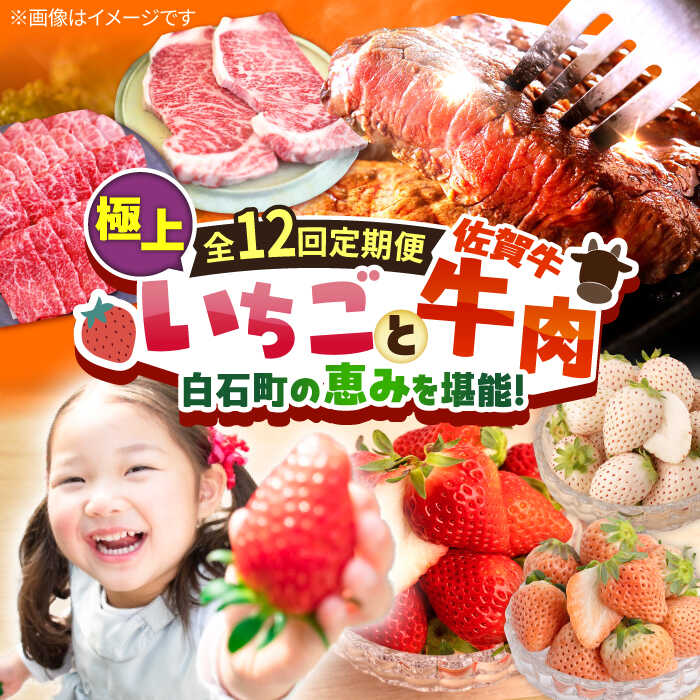 【ふるさと納税】【R8年1月以降発送】【先行予約】【全12回定期便】産地直送！白石町産 いちごと牛肉の極上定期便 / イチゴ 苺 果物 フルーツ 黒毛和牛 お肉 肉 ステーキ 焼肉 すき焼き しゃぶしゃぶ 佐賀県 白石町 [IZZ015]