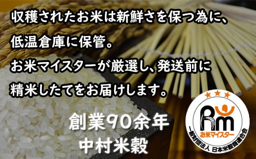 D-119 令和５年産　佐賀の米食べ比べ 夢しずく・ヒノヒカリ ２０ｋｇ（１０ｋｇ×2種）
