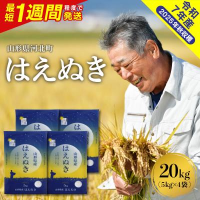 ふるさと納税 河北町 【令和7年産米】最短1週間程度発送 はえぬき20kg 山形県産 【米COMEかほく】