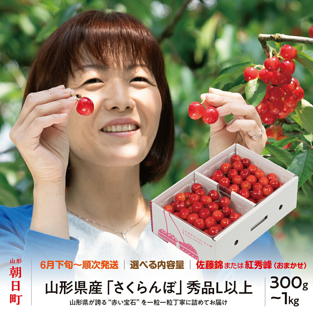 【ふるさと納税】 山形県産 さくらんぼ ( 佐藤錦 ・ 紅秀峰 ) 秀品 L以上 選べる 300g ・ 500g ・ 700g ・ 1kg 【2026年6月下旬から7月上旬】 山形県 果物 フルーツ 初夏 夏 贈答用 ギフト お中元 大粒 先行予約 送料無料