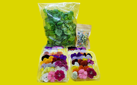 【Dセット】エディブルフラワー(生花20輪)4パック サラダクレソン(80g) エディブルフラワー(ドライ2g) 食用花 食べられる花 生け花 誕生日 プレゼント 飾り付け 食用 お菓子【配達不可：離島】