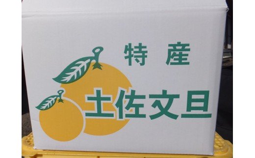 【先行予約】オレンジ園の土佐文旦５kg  柑橘 フルーツ ミカン みかん 蜜柑 ザボン ぶんたん ブンタン 果物 くだもの 果汁 おやつ デザート 食品 甘い 酸味【R01088】
