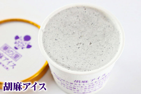 アイスクリーム詰め合わせ 12個入り 3種(こまちアイス パンプキンアイス 胡麻アイス)