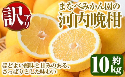 
                  ＜先行予約受付中！2027年3月中旬以降順次発送予定＞訳あり！まなべみかん園の河内晩柑(約10kg) 国産 鹿児島県産 阿久根市産 柑橘類 かんきつ 晩柑 果物 フルーツ 期間限定 数量限定 デザート 訳アリ かわちばんかん 【有限会社まなべみかん園】akn034-09
                