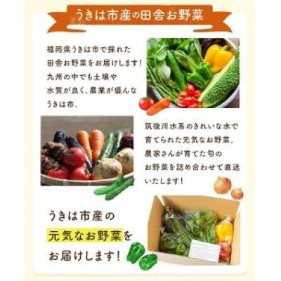 ふるさと納税 うきは市 名水うきは 旬の滋味(じみ)野菜セットS 　U011-1VE-SEUS |  | 01