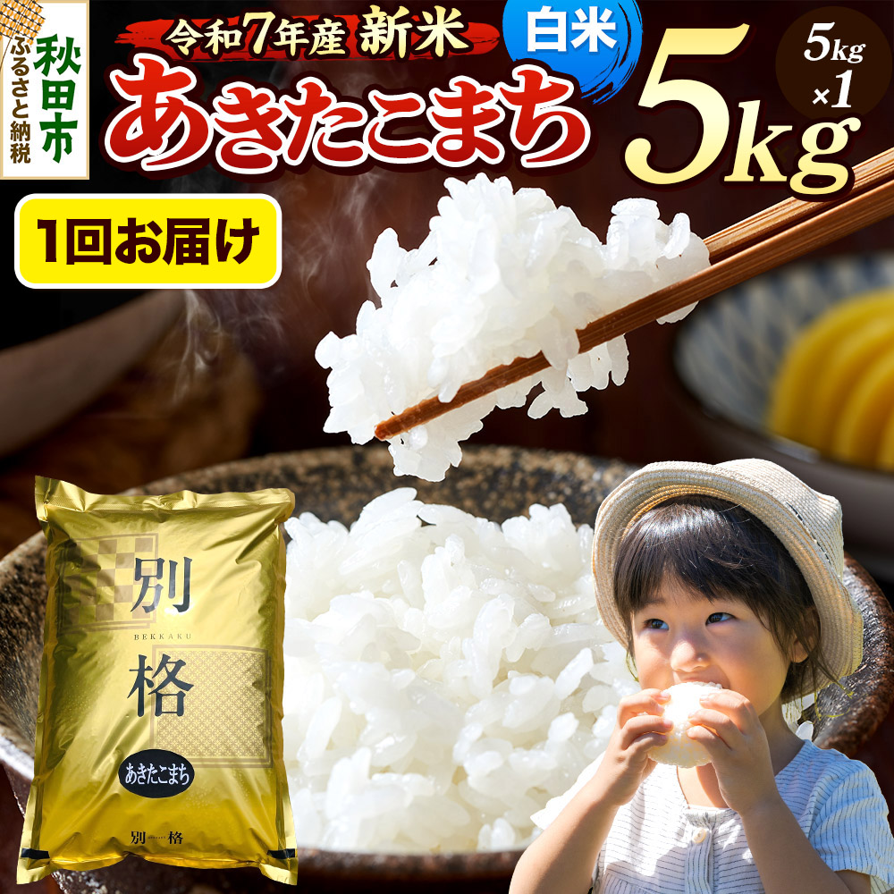 《令和7年産 新米》 米 あきたこまち 5kg 【白米】 秋田県産