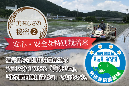 【先行予約】【3ヶ月連続お届け】【白米】令和5年度産 永平寺町産 農薬不使用・化学肥料不使用 特別栽培米 コシヒカリ 5kg×3ヶ月（計15kg）【2023年10月下旬以降順次発送開始予定】[E-03