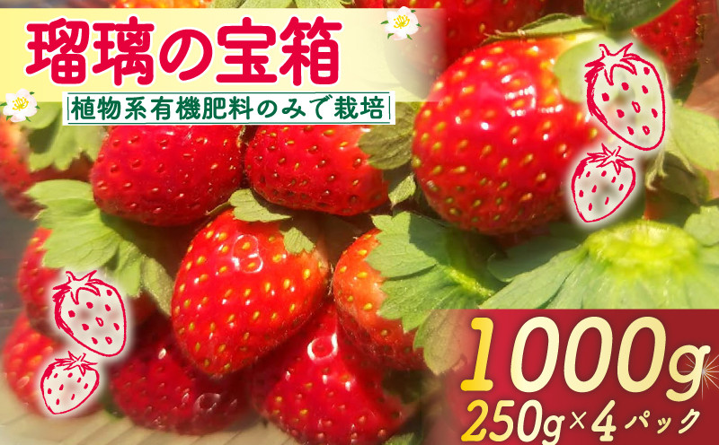 
            先行予約 いちご 1000g 瑠璃の宝箱 オーガニックイチゴ 250g 4パック 化粧箱入り イチゴ 苺 フルーツ 果物 国産 ブランド 産地 直送 フレッシュ 有機JAS 京都 八幡 八幡市 かみむら農園
          