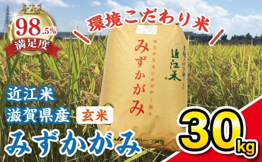 
            新米 令和7年産 みずかがみ 玄米 30kg 【K073W】 みずかがみ 米 お米 こめ コメ 玄米 ご飯 5kg 10kg 30kg 国産 送料無料 おすすめ 人気 大人気 国産 ランキング 大容量
          