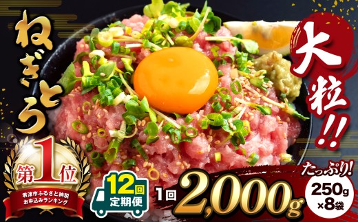 【 定期便 12回 】 ネギトロ 2000g（250g 小分け × 8袋 ） | 大人気！ 清幸丸水産 ねぎとろ とろ 鮪 マグロ まぐろ たたき まぐろのたたき 軍艦巻 海鮮 海鮮丼 魚介 魚 人気 小分け ユッケ 人気 定番 ご飯 オススメ 千葉県 君津市 きみつ
