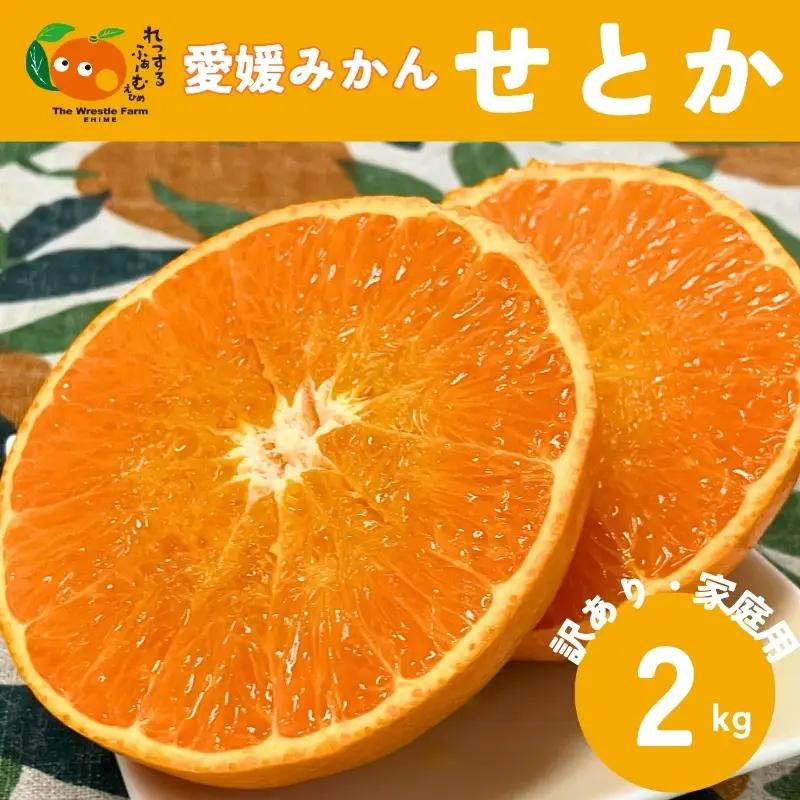【2027年1月下旬より順次発送】訳あり せとか 2kg ご家庭用｜A105
