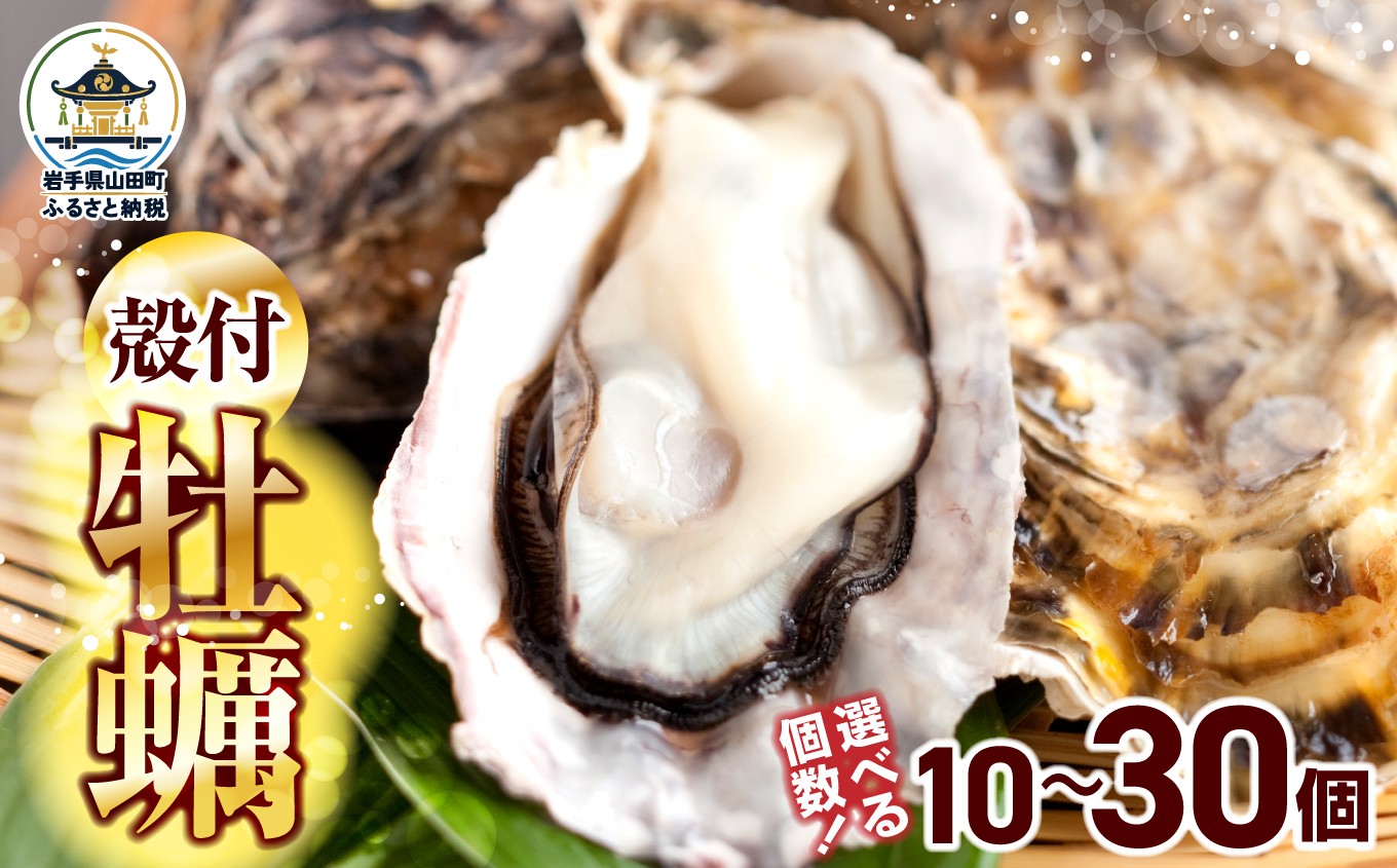
                  【先行予約 12月以降順次発送】 大福丸の殻付き牡蠣 10～30個 【三陸山田産】【沖縄・離島配送不可】三陸山田 山田町 山田湾 海産品 かき
                