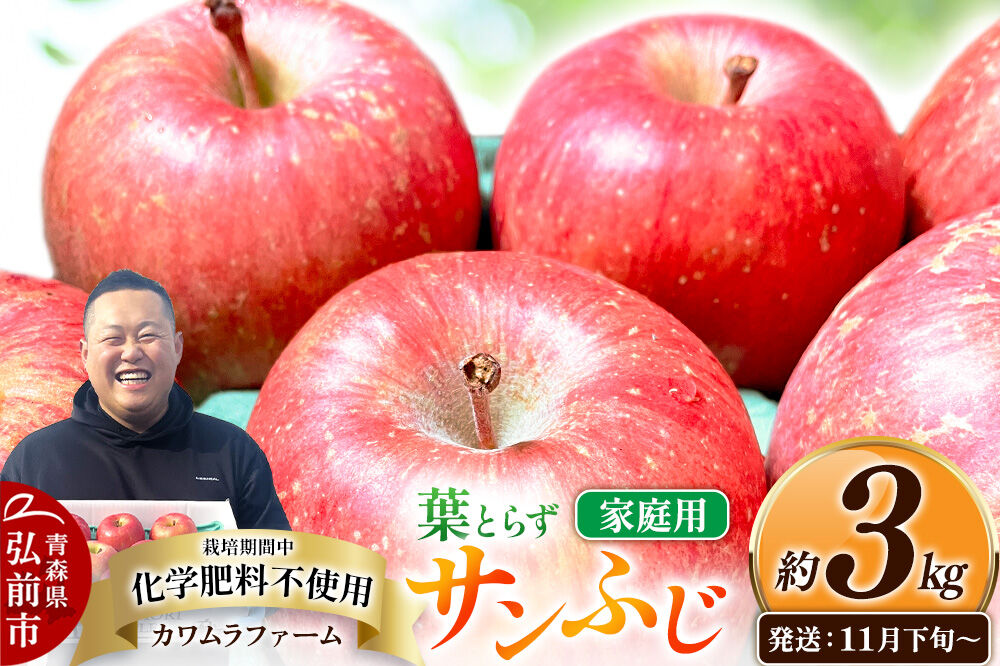 【26年11月下旬～発送】りんご 葉とらず サンふじ【家庭用】約3kg【先行受付】カワムラファーム 青森県 弘前市 果物 フルーツ 林檎 リンゴ くだもの 不揃い 規格外 [先行予約 産地直送 アップ