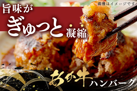 《年末発送 受付中》GI認証 くまもと あか牛 ハンバーグ《ご家庭用》150g×10個 あか牛100％ 赤身 冷凍 熊本県産 あかうし はんばーぐ 惣菜 おかず 和牛 牛肉 年内発送 年内配送 年末年