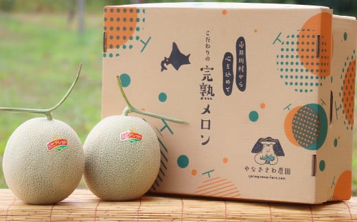 （ティアラ）【４～６玉入】やなぎさわ農園の甘い赤肉メロン