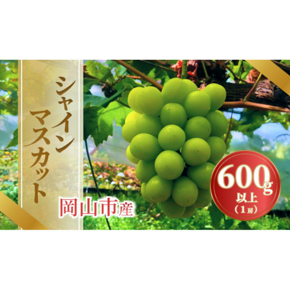 【ふるさと納税】【内容量が選べる】《2026年発送》岡山市産シャインマスカット 1房600g以上又は2～3房1.3kg以上