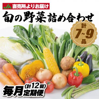 ふるさと納税 宗像市 【毎月お届け】むなかた旬のお任せセット(野菜)7〜9品【JAほたるの里】_HB0173