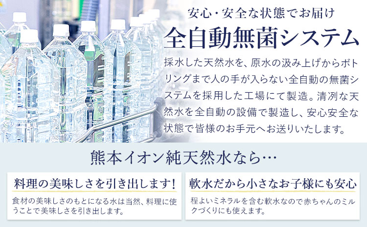 【12ヶ月定期便】熊本イオン純天然水 ラベルレス 2L×20本 《お申込み翌月から出荷》2l 水 飲料水 ナチュラルミネラルウォーター 熊本県 玉名郡 玉東町 完全国産 天然水 くまモン パッケージ-