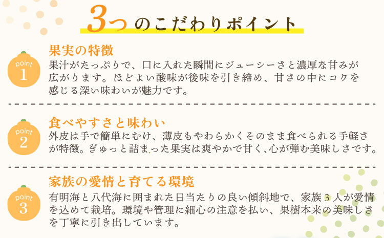 【先行予約】宇城市産  あーちゃん家の 不知火 5kg 【2026年4月上旬〜5月下旬発送予定】 しらぬい 柑橘 みかん ミカン 蜜柑 オレンジ 