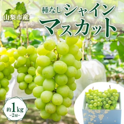 
            〈2025年先行受付〉大房で食べ応え満点!「山梨県山梨市産 シャインマスカット 2房 約1kg」【1513030】
          