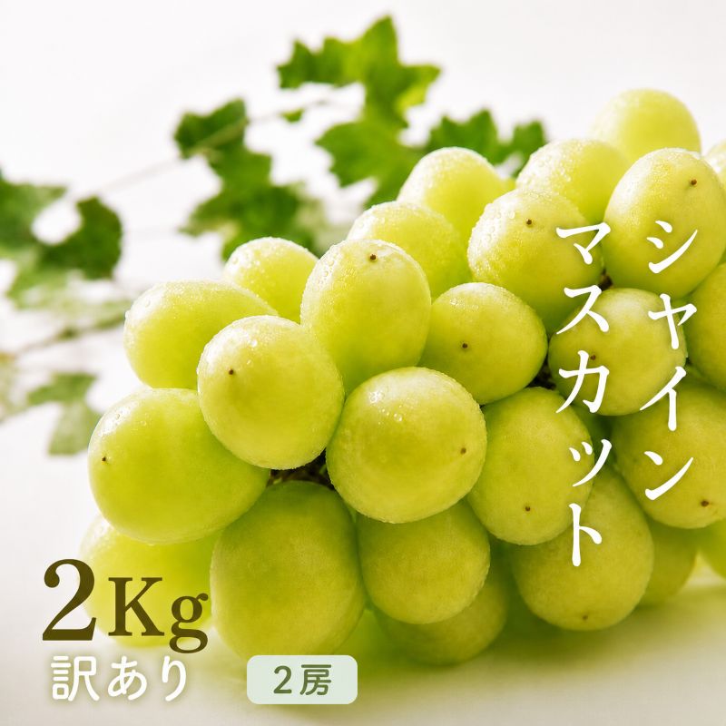 【ふるさと納税】【2026年先行予約】【訳あり】結穂のシャインマスカット約2kg（10月中旬頃～11月下旬にかけて発送予定）｜シャインマスカット マスカット フルーツ 果物 種なし 桔梗ヶ原 ぶどう 葡萄 フルーツ 果物 塩尻市 長野県 信州