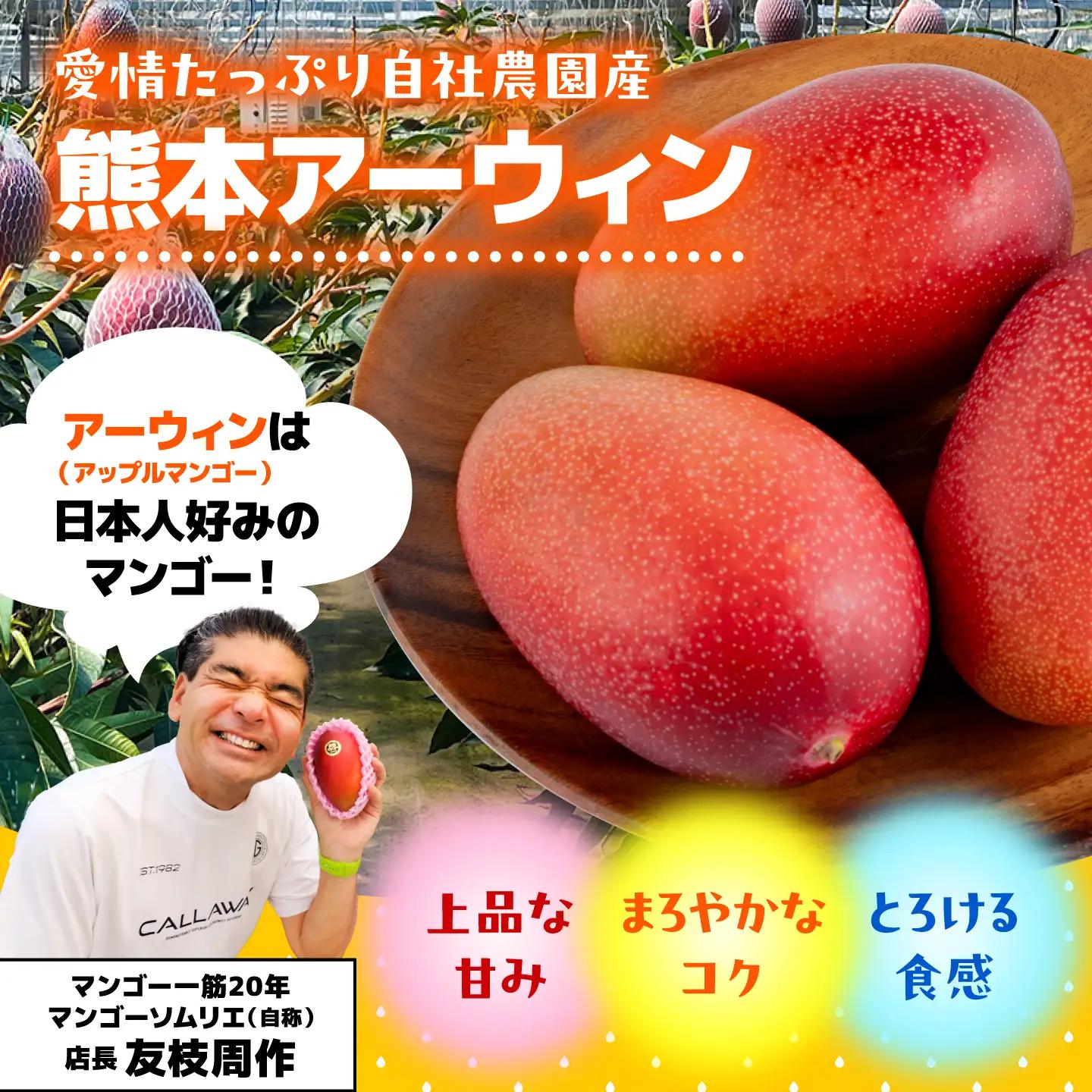 【2026年6月上旬から順次発送】菊池マンゴー4L×1玉  友枝マンゴー農園[AYDF005]