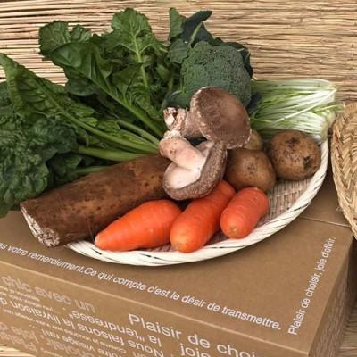 ふるさと納税 神栖市 【ハーフサイズ】『身体が喜ぶ野菜』詰め合わせ(6〜7品) |  | 01