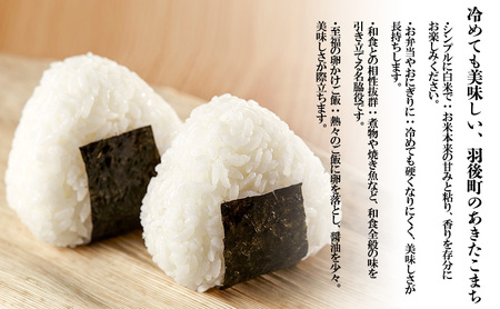 10月発送開始〈先行予約〉農家直送 秋田県産 あきたこまち 10kg (5kg×2)[令和7年産] 大谷地ファーム 田代のお米【 米 お米 ご飯 あきたこまち ブランド米 銘柄米 農家直送 特産品 秋