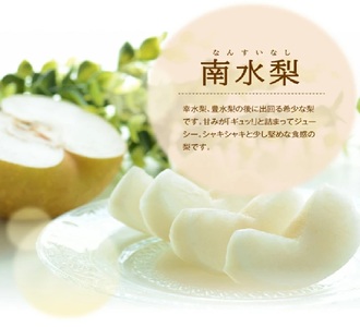 SA3037　酒田産【特選】南水梨　約3kg(6～9玉入)