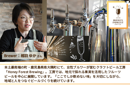 SunSunALE【辺塚だいだい３本セット】 HF-715 ｜辺塚だいだい 辺塚 クラフトビール 柑橘 手作り はちみつ 南大隅町 人気