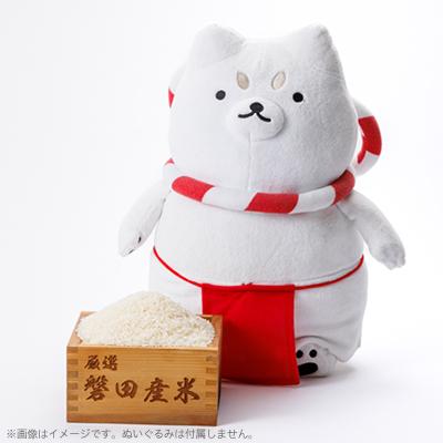 ふるさと納税 磐田市 お米(精米)　5kg　磐田市産　磐田市の陽の光、豊かな水源から実った美味しいお米 |  | 03