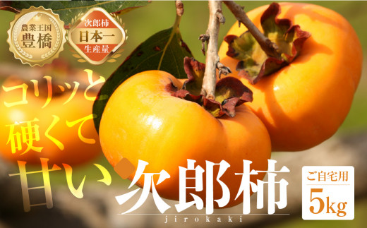 ≪先行予約 2026年発送≫ 次郎柿 5kg (15～25玉) 訳あり 生産量日本一 豊橋石巻産 柿 不揃い 甘柿 果物 愛知県 豊橋市 2026年産