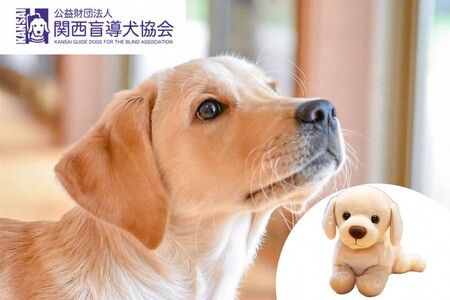 【返礼品相当額で盲導犬の育成を支援】支援額15,000円（記念品あり）盲導犬