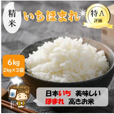 ふるさと納税 あわら市 【令和7年産】いちほまれ 精米 2kg×3袋(計6kg)《お米マイスターが発送直前に精米!》