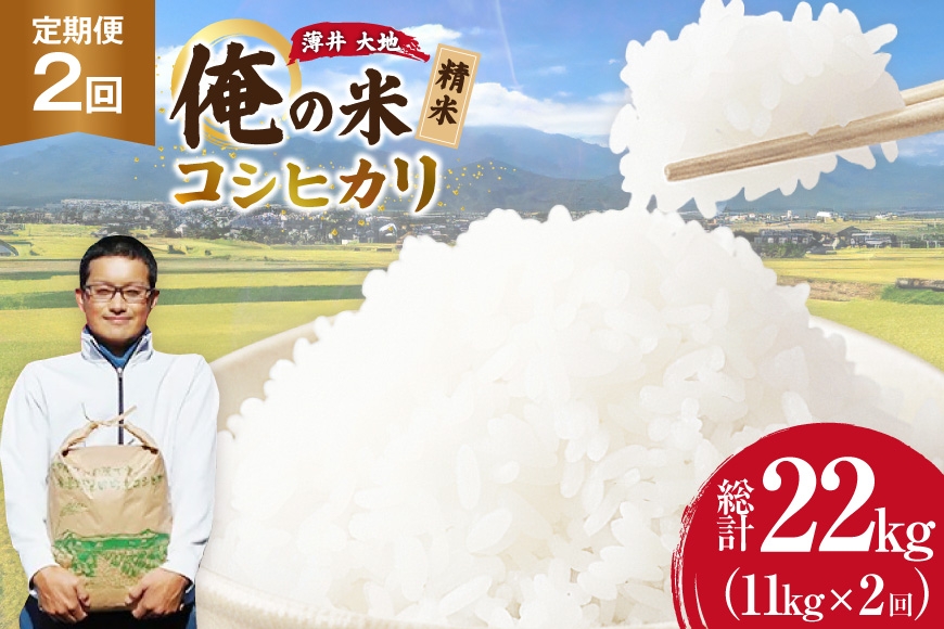 
                  【俺の米】 米 定期便 2回 令和8年 コシヒカリ 精米 11kg 計 22kg [薄井 大地 長野県 池田町 48110936] お米 おこめ こめ コメ 白米 ご飯 ごはん 定期 2ヶ月  おにぎり こしひかり 美味しい もっちり 甘い 農家 直送 10キロ 20キロ 以上 令和8年産 先行予約 新米
                