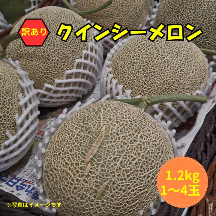 【ふるさと納税】 【訳あり】クインシーメロン 1玉（1.2kg）　1～4玉
