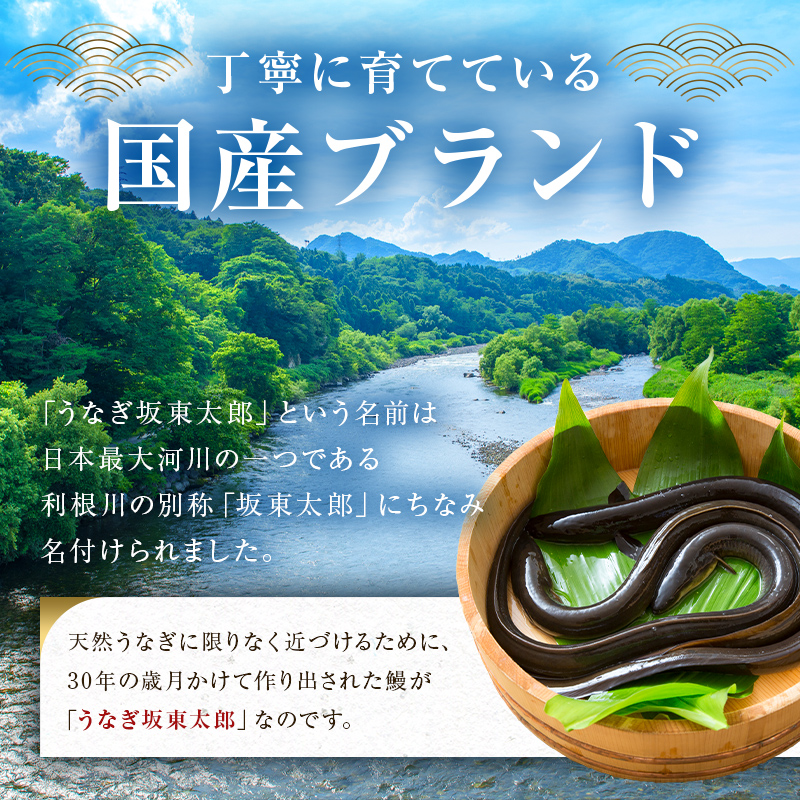 のし対応可能 国産 うなぎ 「坂東太郎 使用」 蒲焼 3串 大サイズ 130g前後×3串