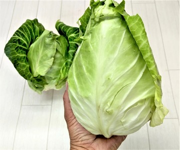 旬の野菜 詰め合わせセット 5品種 ( お楽しみ 産地直送 農家直送 季節 旬 おまかせ 春 夏 秋 冬 やさい サラダ 新鮮 玉ねぎ 人参 じゃがいも ピーマン 大根 なす キャベツ 等 豊浦町 川
