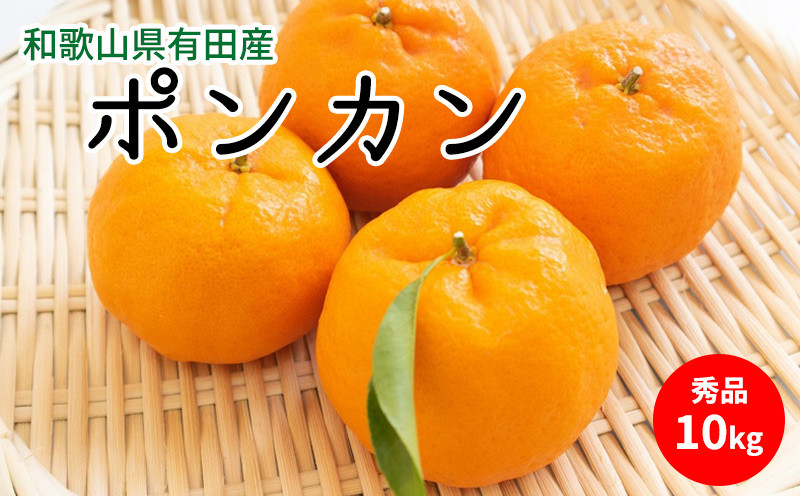 
                  【2027年先行予約】ポンカン 秀品 約10kg 和歌山県有田産【ぽんかん ミカン 蜜柑 柑橘 和歌山 有田】_U6227n
                