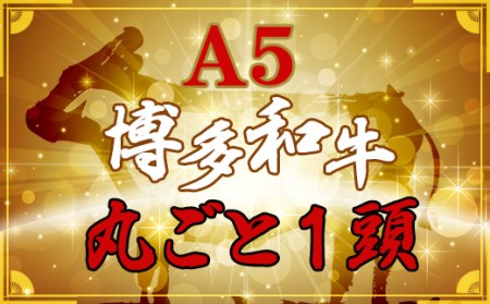 2N2　なんと＜A5等級＞博多和牛まるごと1頭 !!