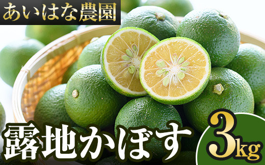 ＜2026年8月上旬以降お申込み順に発送＞露地カボス(約3kg)かぼす カボス 柑橘 特産品 大分県産【107100203】【あいはな農園】