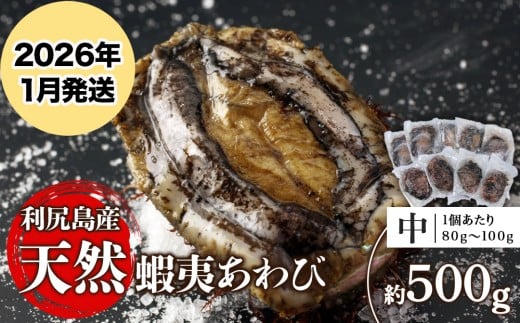 【2026年1月発送】利尻島産 天然蝦夷あわび 500g＜中＞（80g～100gサイズ）＜利尻漁業協同組合＞